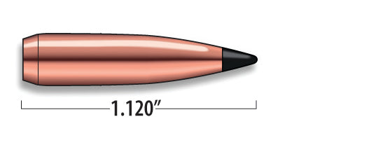Scirocco Rifle Bullets Cal. 25 | 100 gr